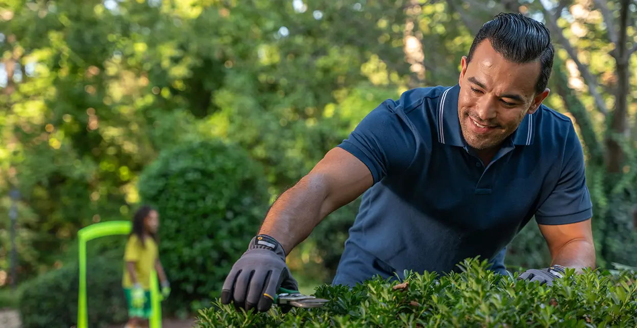 Man pruning bushes.