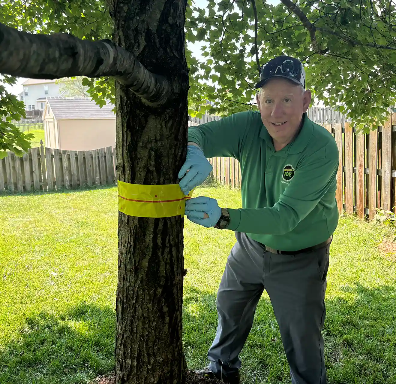 Mosquito Joe pro measuring tree