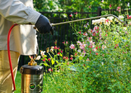 Mosquito Joe professional spraying the yard.