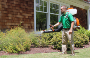 Mosquito Joe professional spraying.