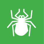 icon of a tick