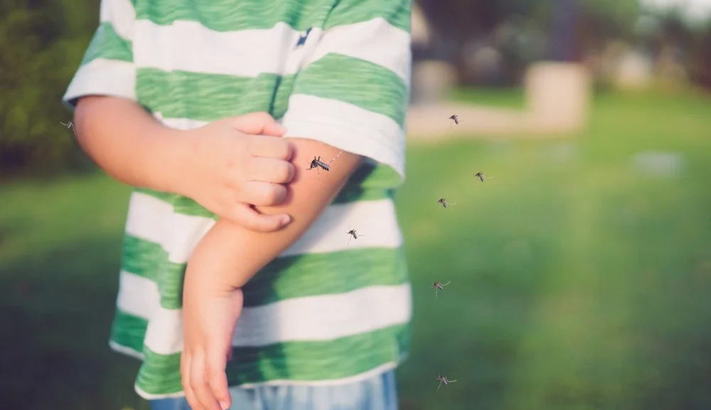 Child-scratching-forearm