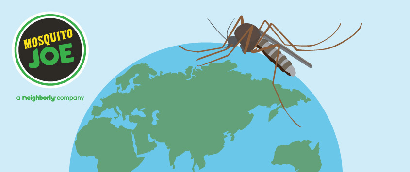 How Many Mosquitoes Are In The World