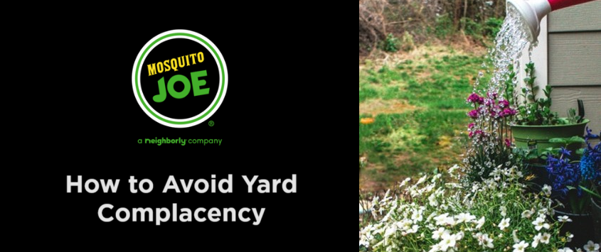 May-Blog_How-to-avoid-yard-complacency