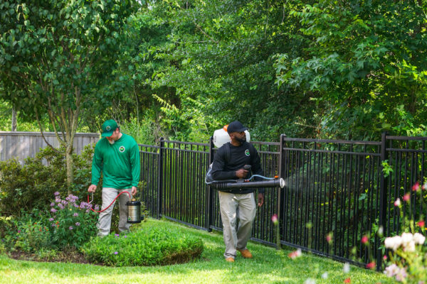 Mosquito Joe technicians applying treatments to a Houston lawn