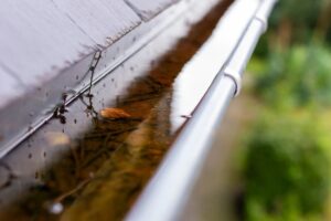 Breeding ground for mosquitos in full roof gutter 