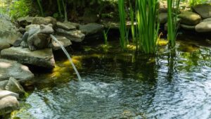 Outdoor pond with frog fountain 