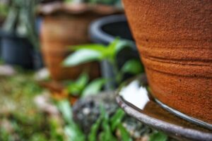 Standing rain water beneath flower pot outside 