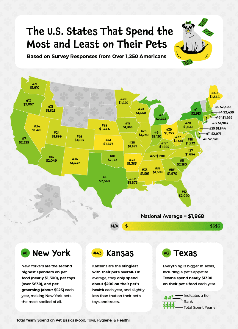 U.S. heatmap showcasing the states that spend the most and least on their pets