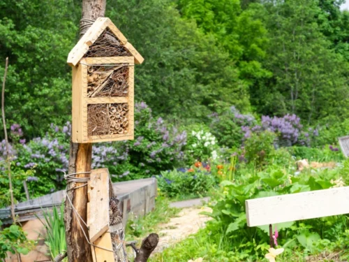 close up of a pollinator bug hotel