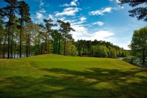  Golf course with turf field. Crane fly pupae can cause damage to turf, causing brown spots. 