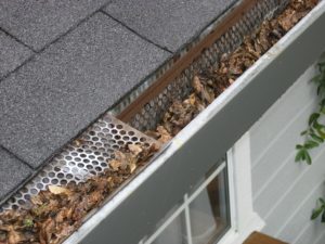 leaf gutters