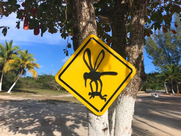 mosquito-sign